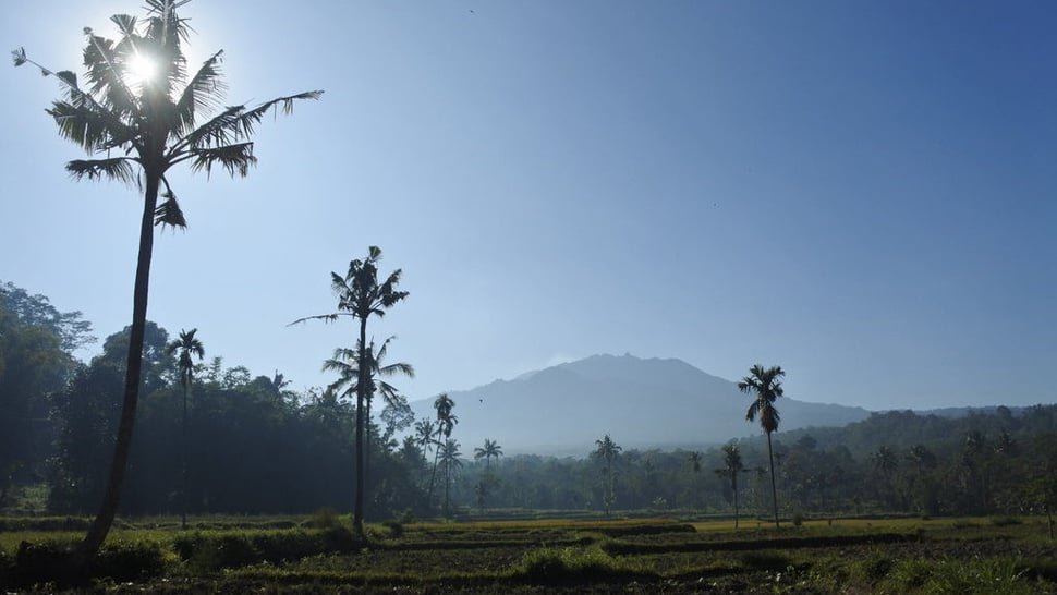 Gunung Raung terlihat dari Desa Gunung Malang, Sumberjambe, Jember, Jawa Timur, Kamis (28/7/2022).ANTARA FOTO/Seno/foc.