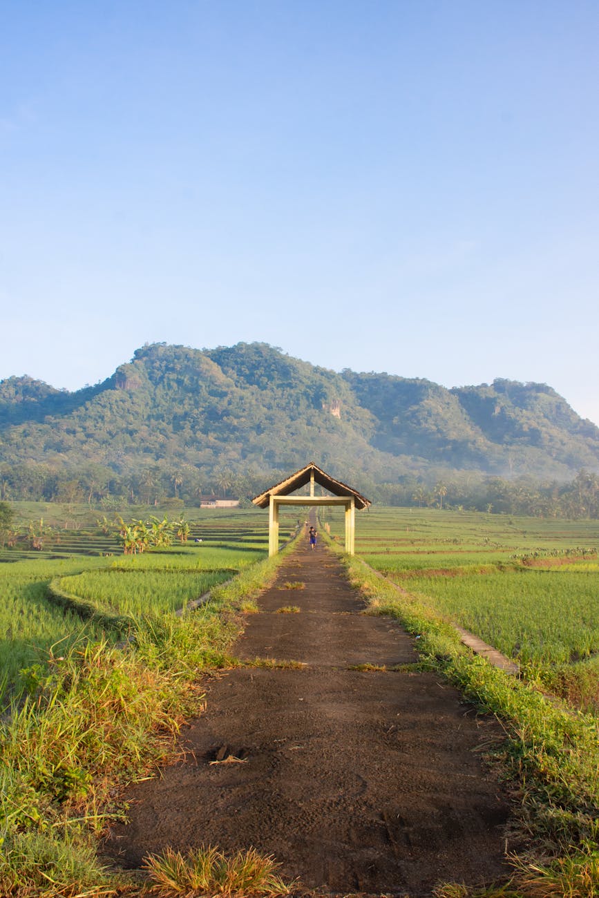 scenery